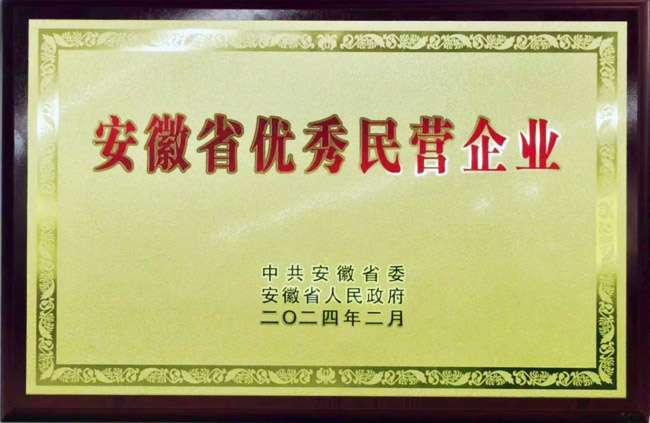 热烈祝贺南宫NG28国际股份荣获安徽省优秀民营企业称号
